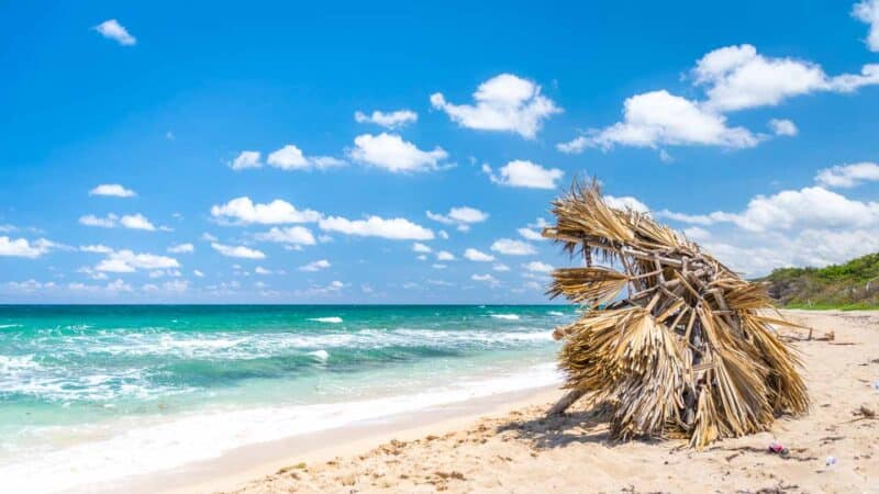 Palm umberlla on the beach of Playa Jibacoa