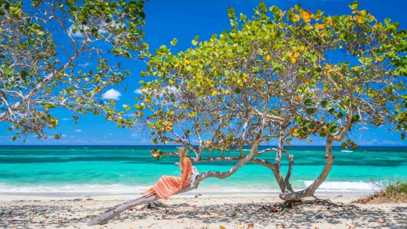 Playa Jibacoa Cuba woman sitting on a tree ocean iand beach in the back ground