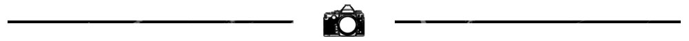 Travel Photography Blog - camera icon section divider