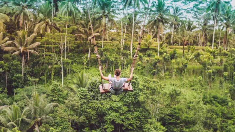 Man swinging on the real Bali swing 