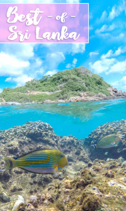 pinterest image of fish swimming on pigeon island - Best of Sri Lanka