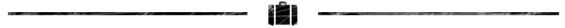 GS Suitcase Divider