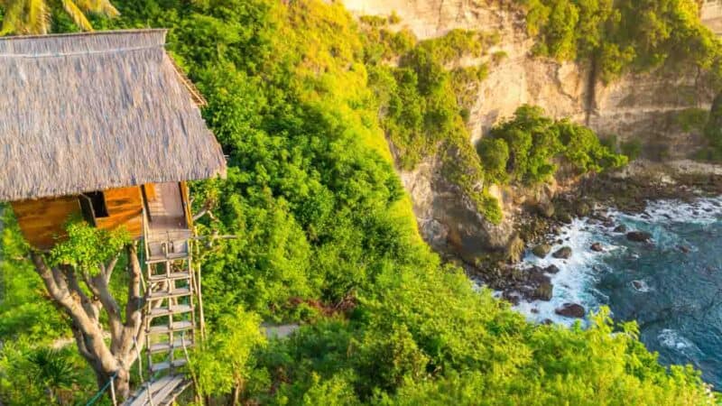 Rumah Pohon Treehouse in Nusa Penida Bali Attraction