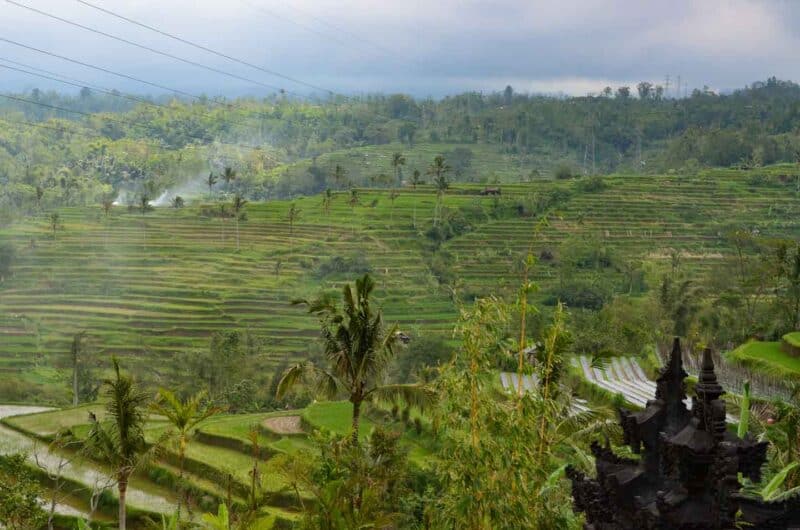 Tegallalang Rice Terraces