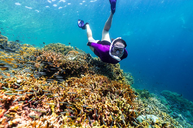 girl free diving in Wakatobi Indonesia