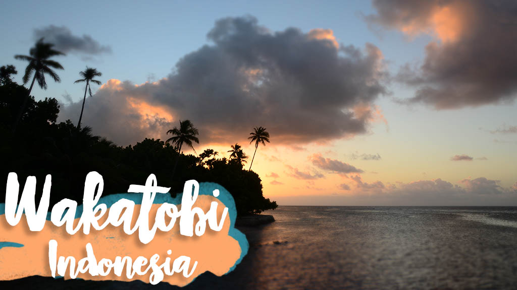 Wakatobi Indonesia Feature image with text over sunset picture