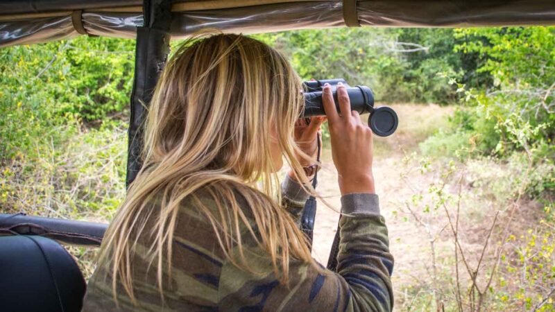 Looking for leopards in Yala National Park
