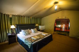 Yala National Park safari inside Leopard Trails Tent