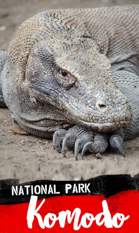 komodo-national-park