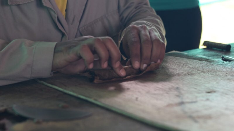 man rolling Cuban cigar in Vinales Cuba