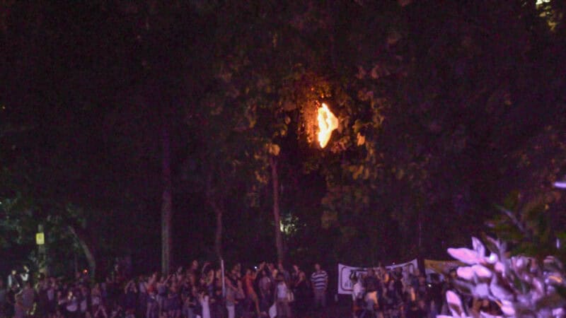 Floating lantern burning in the tree at Yi Peng Lantern Festival Chiang Mai Thailand