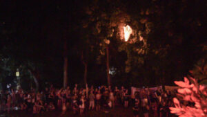 Floating lantern burning in the tree at Yi Peng Lantern Festival Chiang Mai Thailand