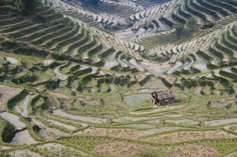 Sapa Vietnam rolling rice paddies 