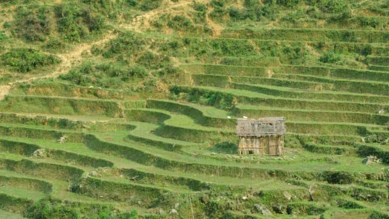 Sapa Vietnam homestay tour in rice paddies