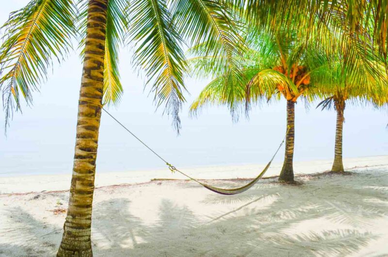 A hammock strung between two palm trees on Hopkins beach in Belize