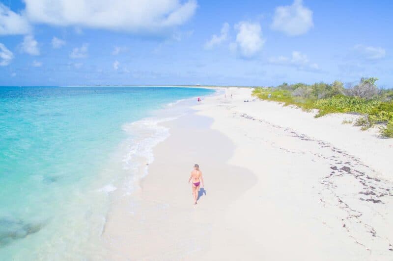 never ending pink sand beach in Barbuda while Caribbean island hopping 