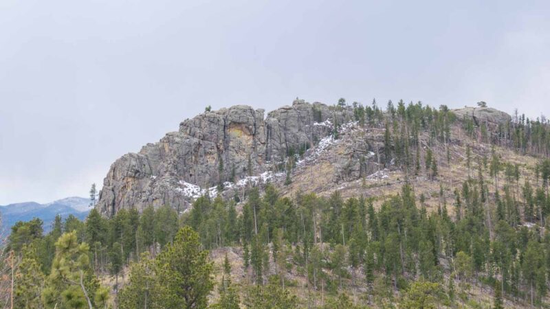 Custer State park in south dakota - road trip itinerary