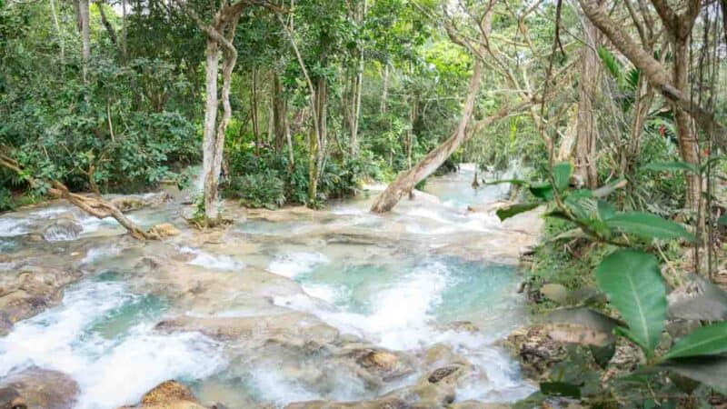 A view of the top of Dunn's River Falls