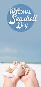 Pinterest Pin for national seashell day