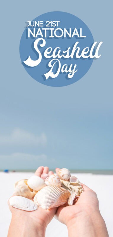 Pinterest Pin for national seashell day 