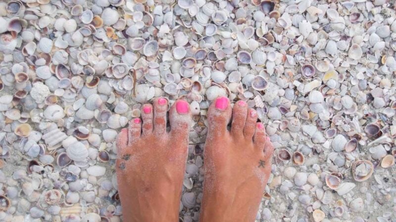 Womans feet in a pile of shells near fort myers Florida - Shelling is a top thing to do in Fort Myers and Sanibel