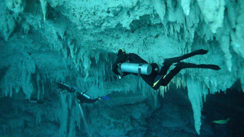 Diver Swimming along the top of El Pit Cenote near Tulum Mexico