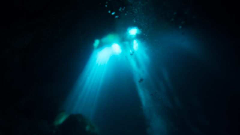 Fresh water and salt water mixing line inside of the Pit Cenote while diving