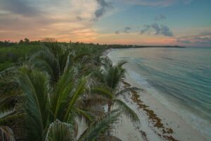 sunset over palm trees at Grand Palladium Riviera Maya