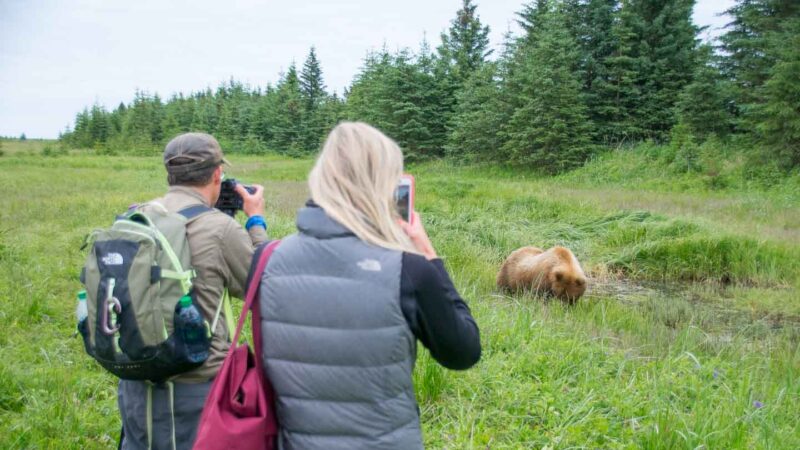 woman on a bear viewing tour in homer Alaska - Top activities in Homer