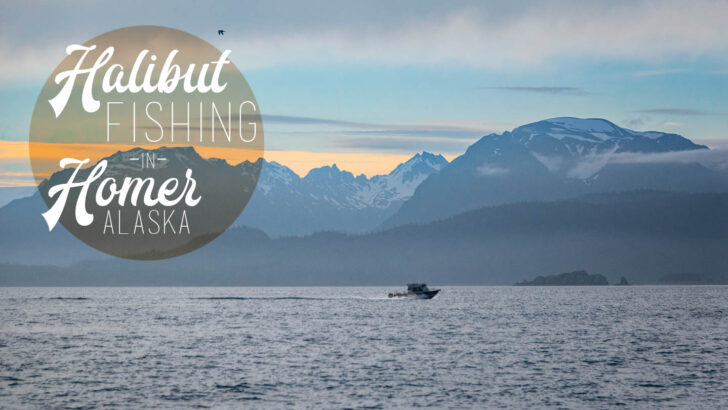 Our Summer Halibut fishing trip in Homer Alaska