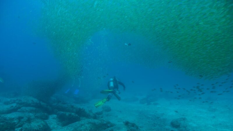 diver at Stonehenge Koh Lipe with a large school of yellow snapper