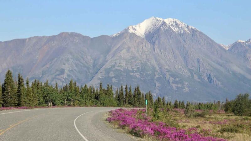 empty Alaska highway with flowers blooming and mountains in the background