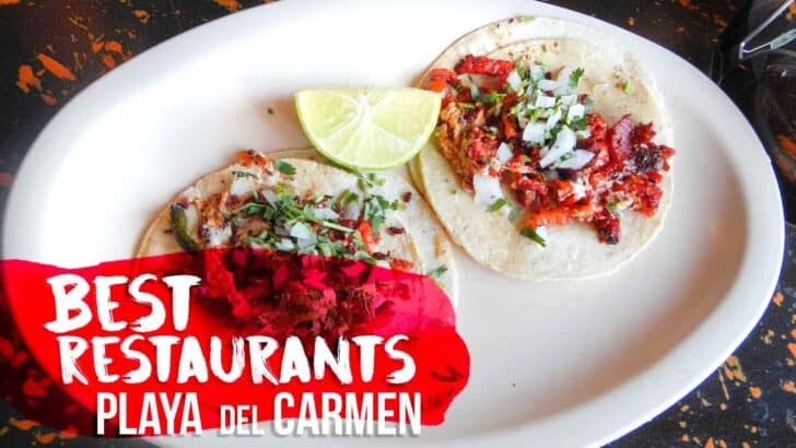 Top 16 Best Restaurants in Playa del Carmen Mexico