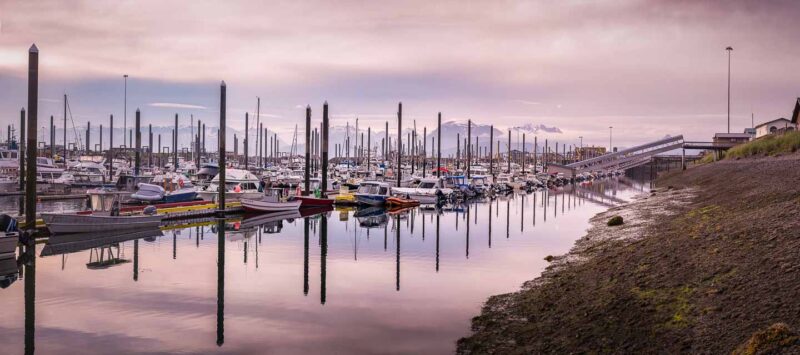 Halibut fishing charter in Homer Marina Alaska