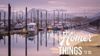 morning sunrise in Homer harbor featured image for things to do in Homer Alaska