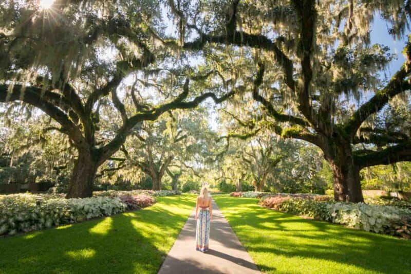 Woman standing in the live oak allee in Myrtle Beach top things to see on a weekend getaway