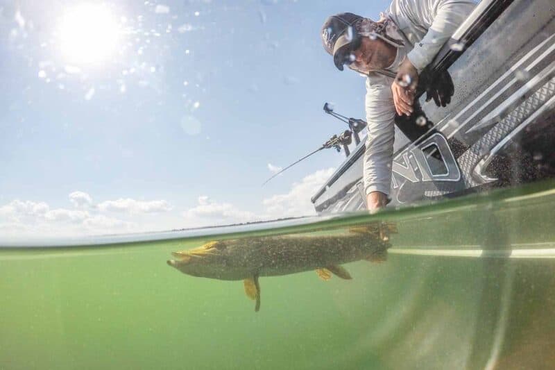 Man fishing shot using a GPro Dome releasing a Northern Pike