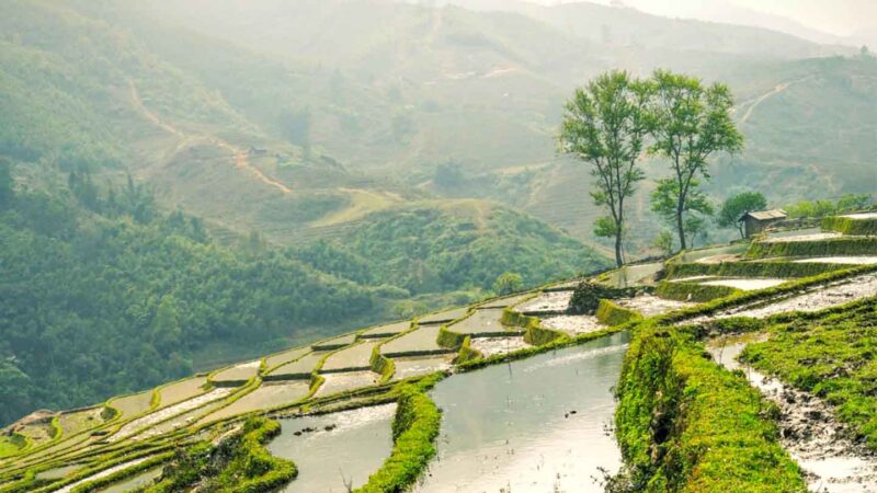 Top Tourist Spots in the Philippines Banaue