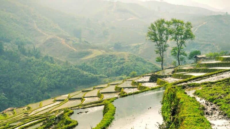 Top Tourist Spots in the Philippines Banaue