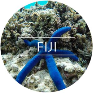 FIJI - Country Icons Round