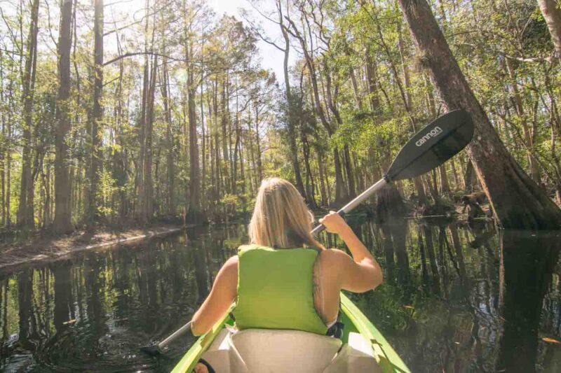 Woman Kayaking in Shingle Creek isurrounded by cypress swamps - Top eco things to do in Kissimmee