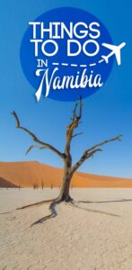 Acacia tree in deadvlei - things to do in Namibia pinterest pin