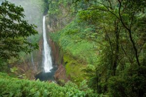 Bajos del Toro waterfall drops straight down in Costa Rica