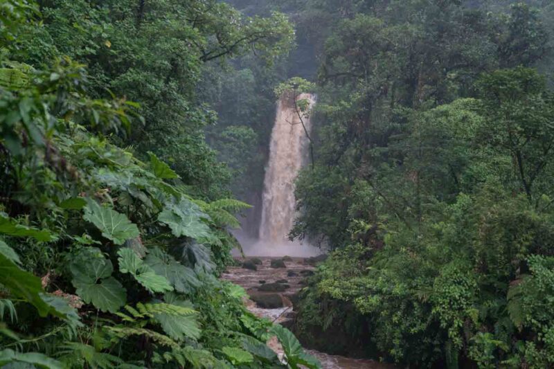 Water rushing down the La Paz Waterfall