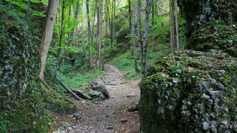 hiking path in Ojcow National Park in Poland