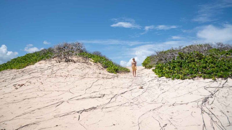 Tall white sand dunes of Boca Prins - Things to do in Aruba