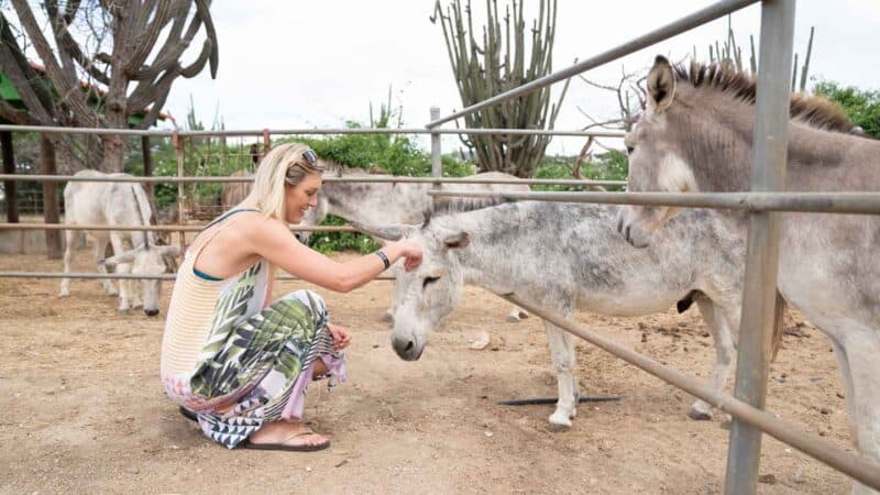 Woman petting a donkey at the Aruba Donkey Sanctuary - Things to do