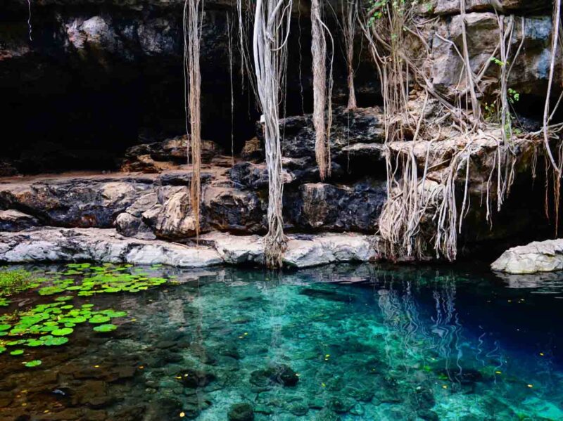 Merida Mexico Cenote