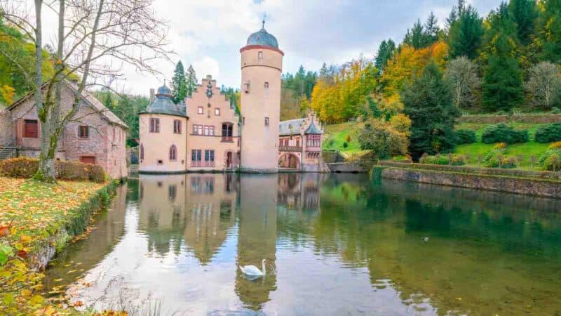 Swan swimming in the moat around Mespelbrunn Castle 