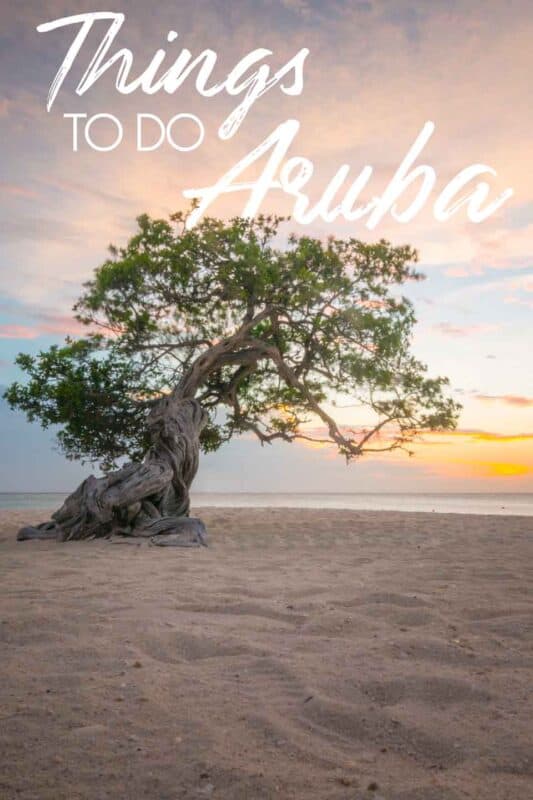 divi Divi tree at sunset in Aruba with text over "Things to do in Aruba" for pinterest pin